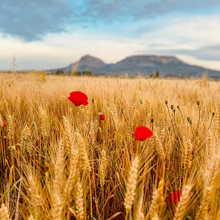 La Vela Estartit Σπίτι διακοπών