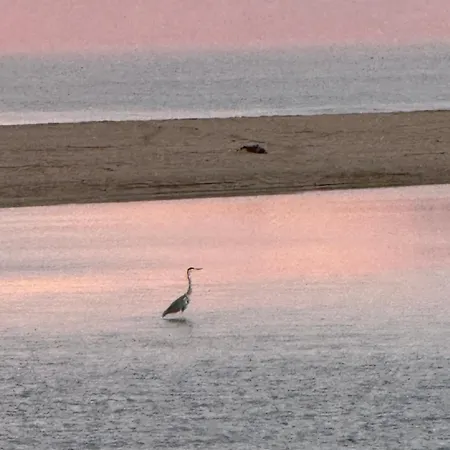 La Vela Estartit بيت للعطل أولاستارتيت