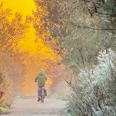 La Vela Estartit L'Estartit